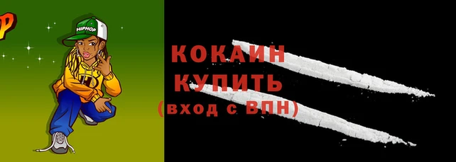 амф Инсар