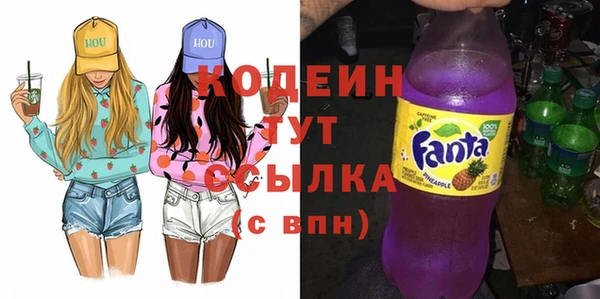 индика Инта