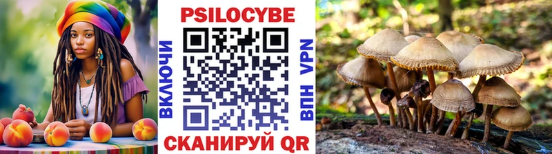 Псилоцибиновые грибы GOLDEN TEACHER  Купить  Дмитров 