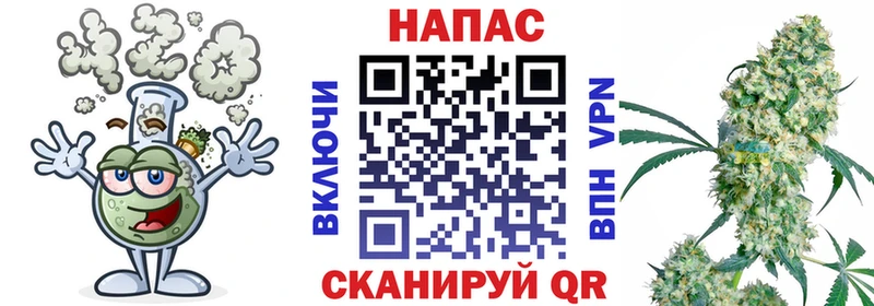 Купить где  Дмитров  Бошки марихуана ГИДРОПОН 